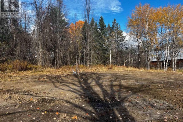 Open space with a shadow of a tree, showing cleared land and surrounding trees. - 482 Bellamy Road, Mcnab/braeside