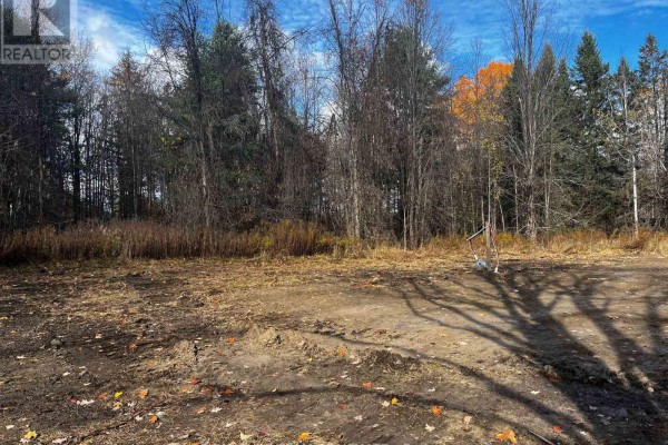 Another angle of the cleared land, with autumn trees in the background. - 482 Bellamy Road, Mcnab/braeside