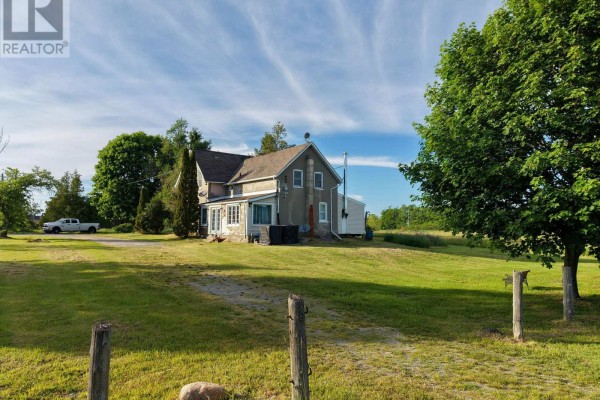View of the house from the side yard, showing green lawn and trees. - 482 Portage Road, Kawartha Lakes