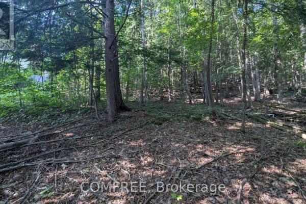 4853 Opeongo Road, Ottawa, ON K0A3M0 Photo 4