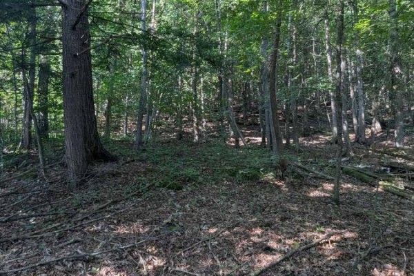 4853 Opeongo Road, Ottawa, ON K0A3M0 Photo 5
