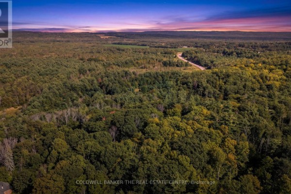 4896 Penetanguishene Road, Springwater, ON L0L1V0 Photo 2