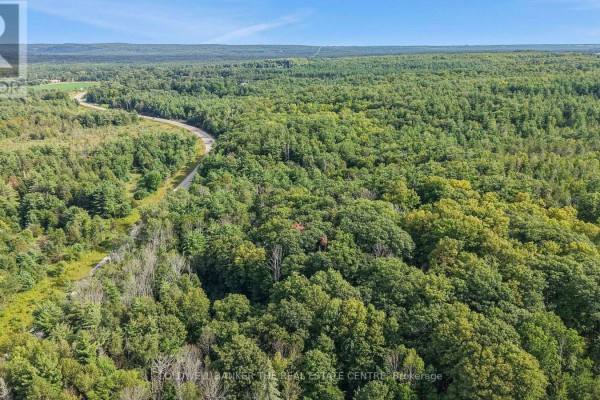 4896 Penetanguishene Road, Springwater, ON L0L1V0 Photo 5