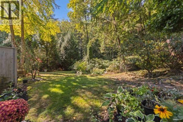 Backyard with a grassy lawn surrounded by mature trees and garden plants. - 49 650 Roche Point Drive, North Vancouver