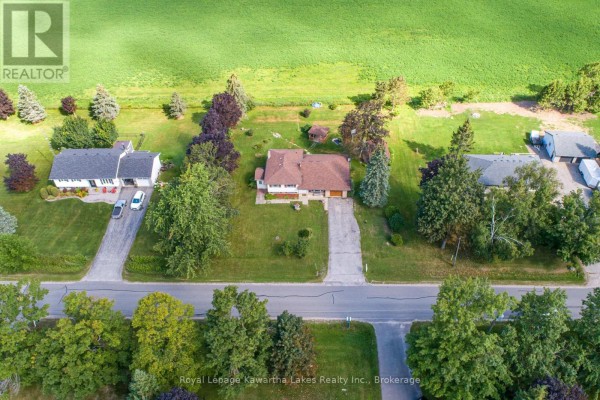 Living room - 49 Cresswell Road, Kawartha Lakes, ON K0M1J0 Photo 3