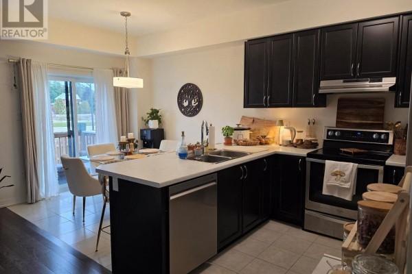 Kitchen - 49 George Brier Drive, Brant, ON N3L0L8 Photo 4