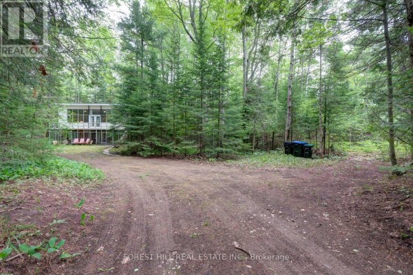 Kitchen - 49 Leslie Street, Wasaga Beach, ON L9Z2R3 Photo 4