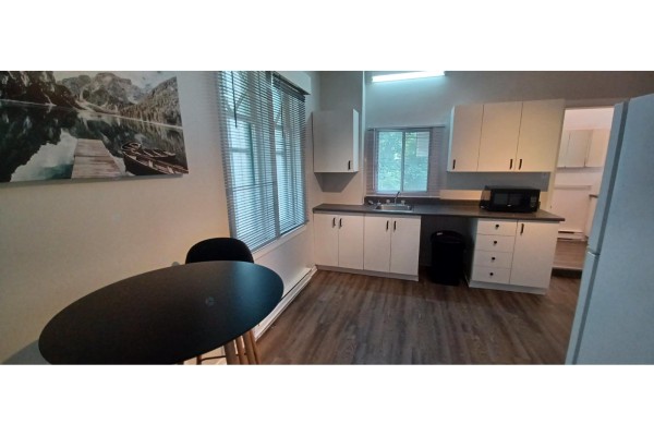 49 Rue Montpetit, Gatineau, QC J8Y4Z7 Photo 3