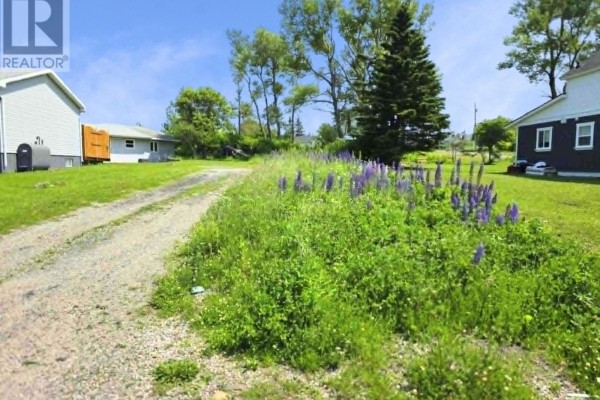 49 School Street, Glace Bay, NS B1A1J3 Photo 2