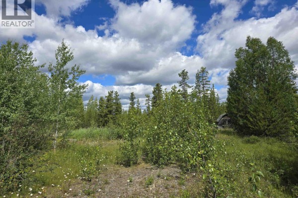 490 Panda Avenue, Bear Lake, BC V0J3G0 Photo 2