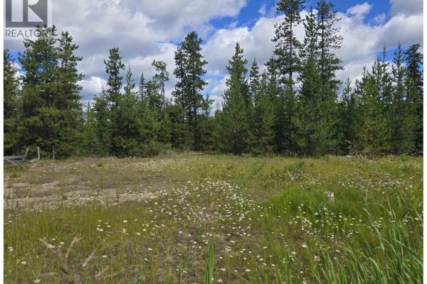 490 Panda Avenue, Bear Lake, BC V0J3G0 Photo 3