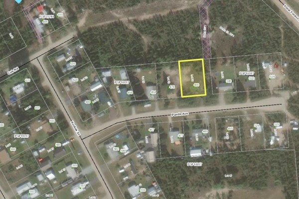 490 Panda Avenue, Bear Lake, BC V0J3G0 Photo 4