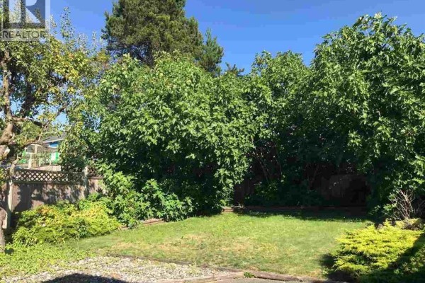 4904 Rupert Street, Vancouver, BC V3S2J1 Photo 5