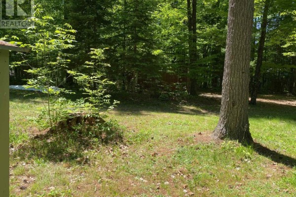 View of a grassy backyard with trees and a portion of the mobile home's exterior. - 491 Jessup Road, North Algona Wilberforce