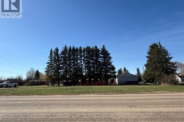 4911 48 Avenue, Mannville, AB T0B2W0 Photo 2