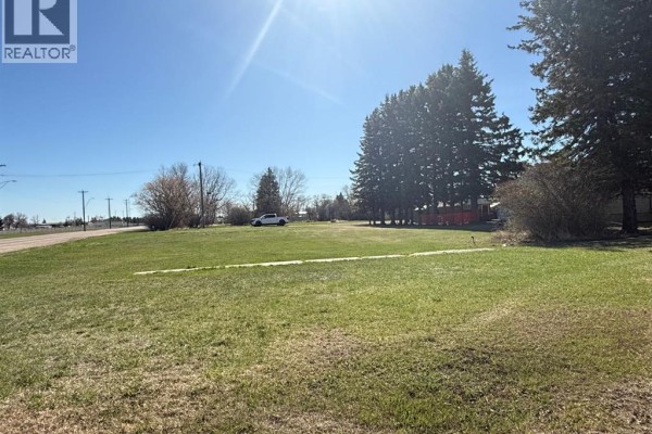 4911 48 Avenue, Mannville, AB T0B2W0 Photo 3