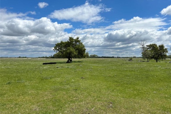 49110 133w Road, Griswold, MB R0M1P0 Photo 3