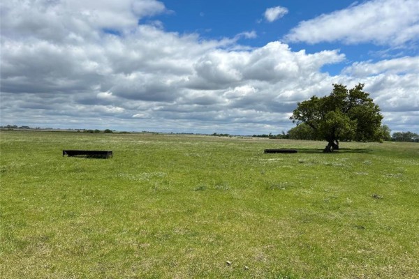 49110 133w Road, Griswold, MB R0M1P0 Photo 4