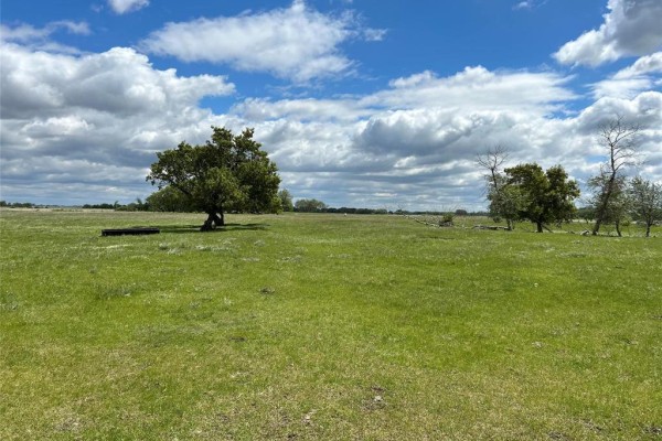 49110 133w Road, Griswold, MB R0M1P0 Photo 5