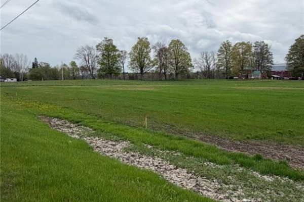 4929 Highway 59 Unit# Lot B, Courtland, ON, photo 2