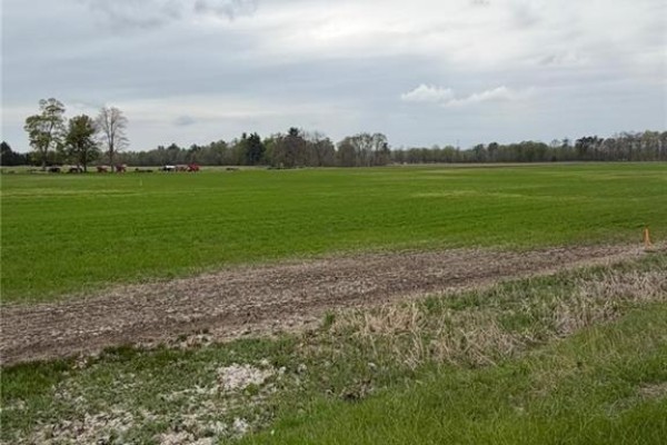4929 Highway 59 Unit# Lot B, Courtland, ON, photo 3