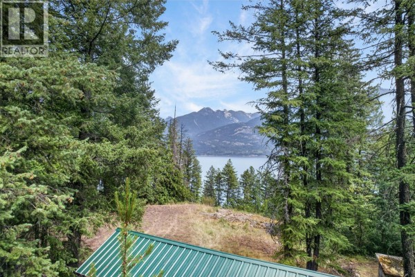 Kitchen - 4940 Fletcher Creek Road, Kaslo, BC V0G1M0 Photo 2