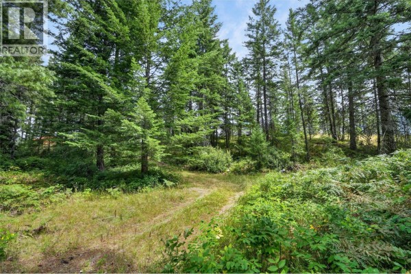 Living room - 4940 Fletcher Creek Road, Kaslo, BC V0G1M0 Photo 4