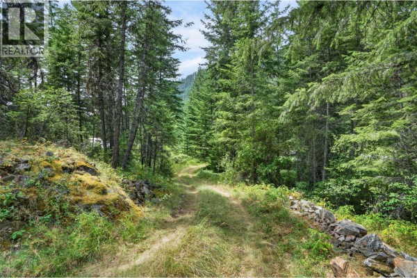 4940 Fletcher Creek Road, Kaslo, BC V0G1M0 Photo 5