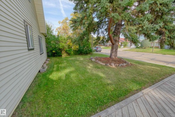 Side view of a light yellow house with light green siding, a manicured lawn, and a large evergreen tree. - 4947 49 Avenue, Barrhead