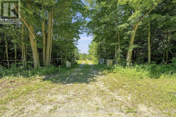 495144 Traverston Road, West Grey, ON N0C1H0 Photo 3