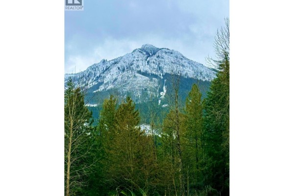 4955 Camp Creek Road Unit# 16 Lot# 16, Revelstoke, BC V0E2J0 Photo 5