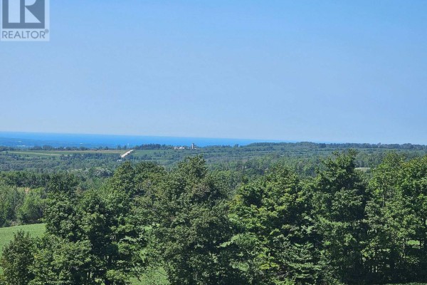 495529 Grey Road 2, Blue Mountains, ON N0H2E0 Photo 3