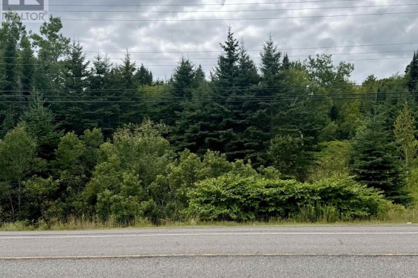 496 Highway 4, Folly Lake, NS B2N2V1 Photo 2