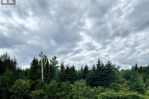496 Highway 4, Folly Lake, NS B2N2V1 Photo 3