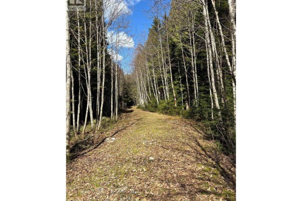 4962 Merkley Road, Terrace, BC, photo 2