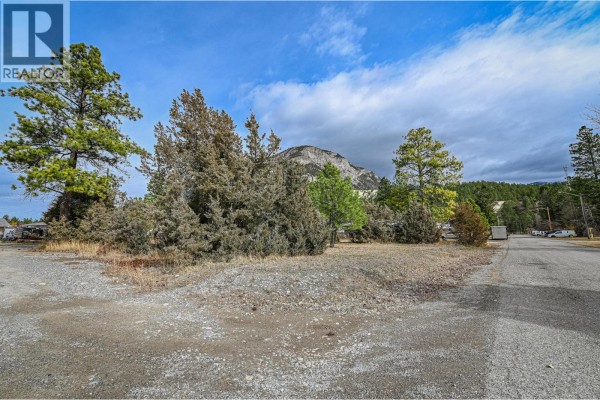 4963 Spruce Avenue, Canal Flats, BC, photo 2