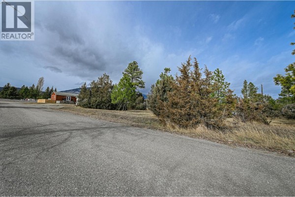 Street view of the lot with trees, gravel road, and nearby structures. - 4963 Spruce Avenue, Canal Flats