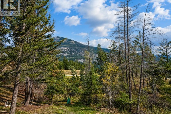 View of a mountainous landscape with scattered evergreen trees under a cloudy sky. - 4978 Timberside Place, Invermere