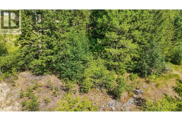 4981 5 Avenue Sw, Salmon Arm, BC, photo 3