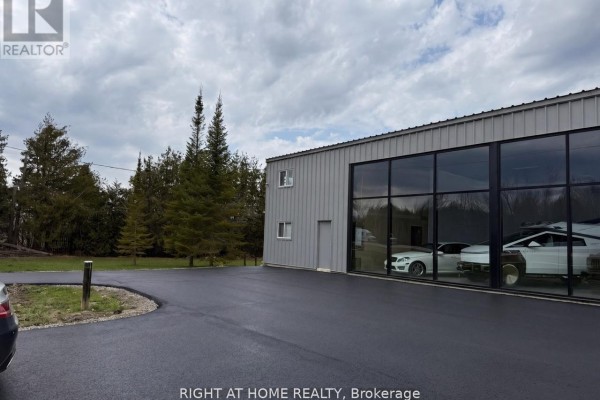 4988 Baseline Road, Georgina, ON L0E1R0 Photo 4