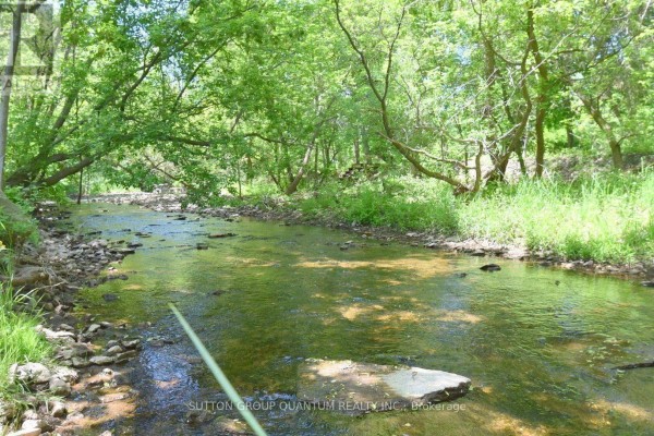 Creek flowing through a wooded area with trees and rocks - 499 Valley Drive N Oakville
