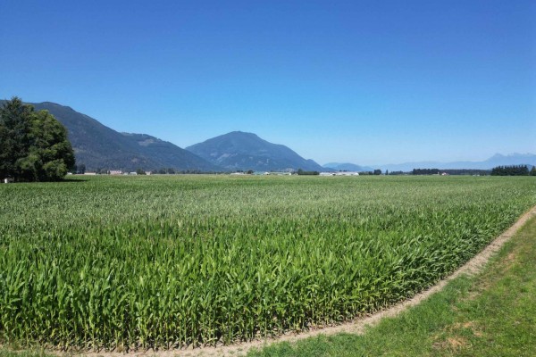 49ac Hyde Buker Road, Mission, BC V0M1H0 Photo 4