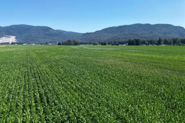 49ac Hyde Buker Road, Mission, BC V0M1H0 Photo 5