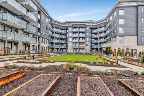 Courtyard of an apartment complex with a central green lawn, planters, and seating areas. - 4f 15738 85 Avenue, Surrey