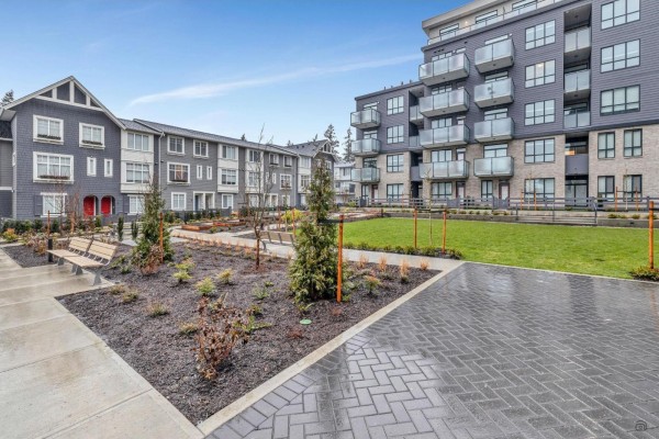 View of an apartment complex courtyard with a green lawn, planters, and adjacent buildings. - 4f 15738 85 Avenue, Surrey