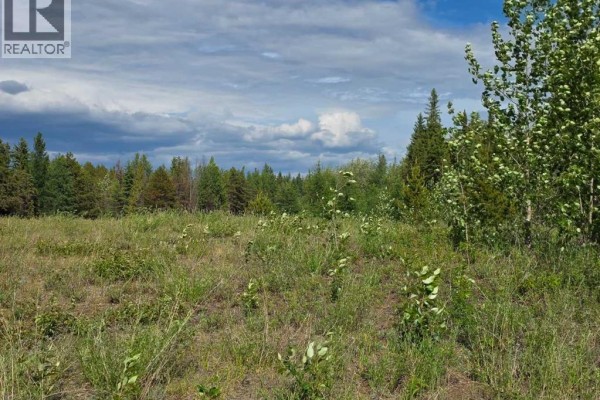 5, 64009 704 Township, Rural Grande Prairie No  1, County Of, AB T8X5C3 Photo 3