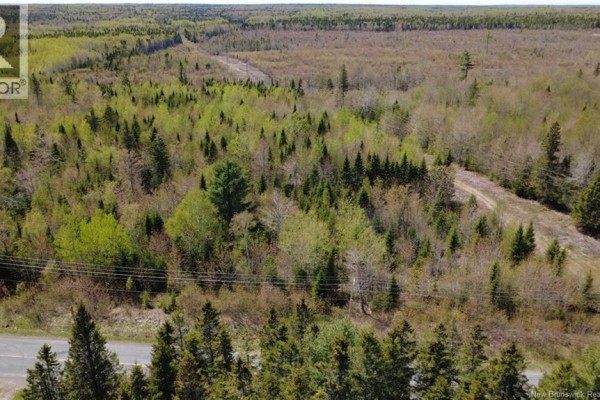 5,036 Mc Chemin St-raymond, Sainte Rose, NB E1X1G5 Photo 3