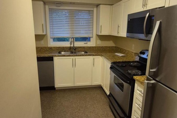 Laundry room - 5 - 225 Riddell Street, Woodstock, ON N4S6N2 Photo 4