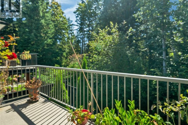 Balcony overlooking a lush green backyard with mature trees and metal railings. - 5 1424 Alder St S, Campbell River