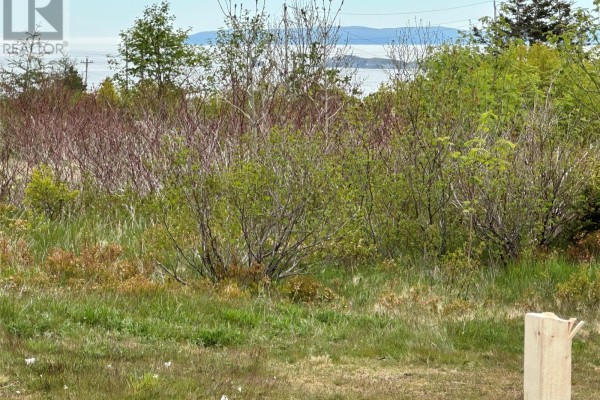 5-15 Stevensons Road, Harbour Grace, NL A0A2M0 Photo 4